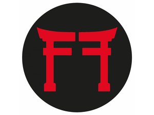 Fighting Films