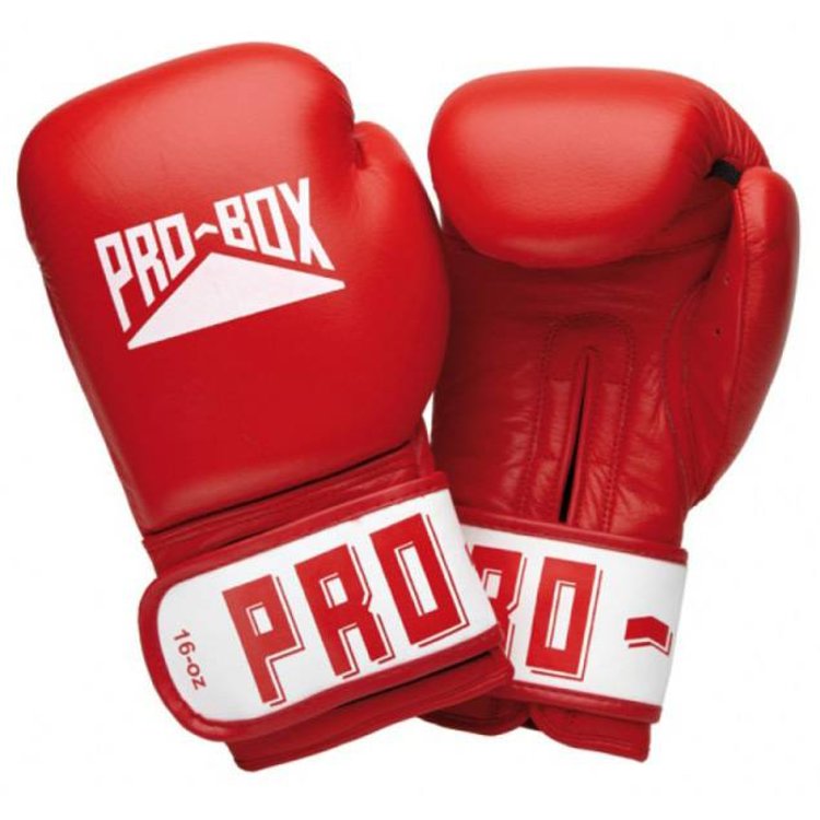 Pro box Red Leather Boxing Gloves for Club Sparring Enso Martial Arts