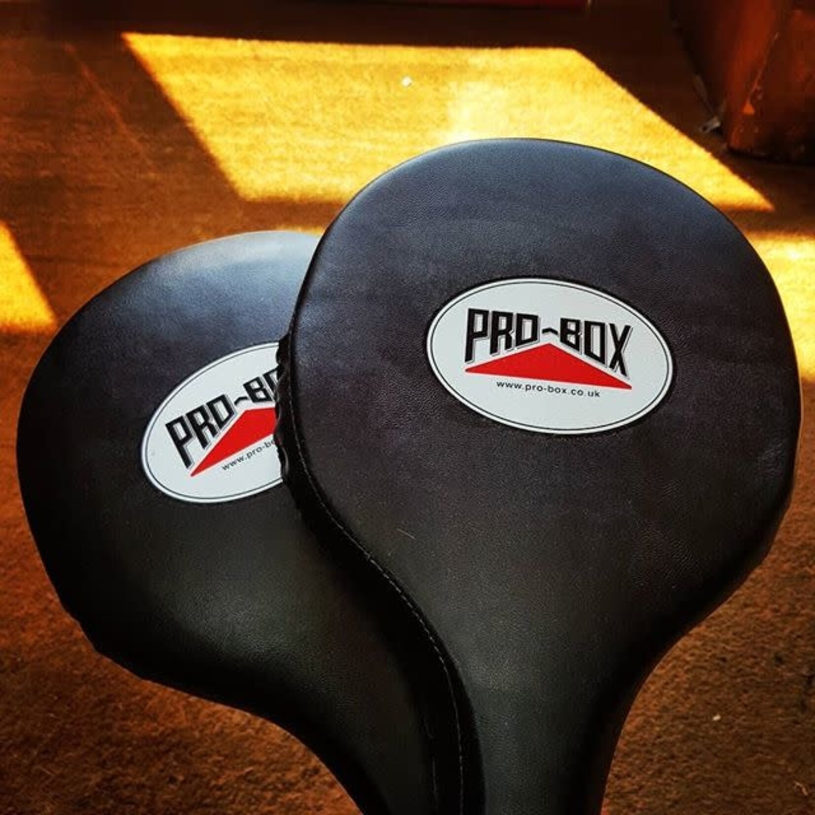 Probox Pro Box Boxing Paddles