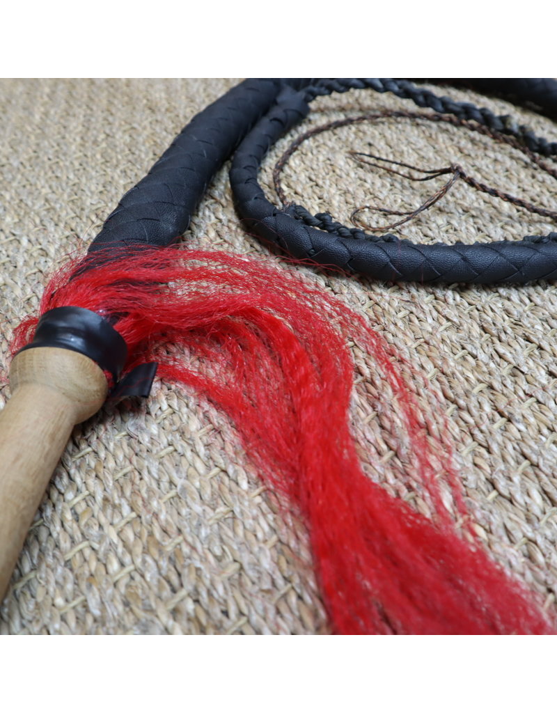 Shaolin Leather Whip for Chinese Kung Fu Styles inc. Shaolin Enso