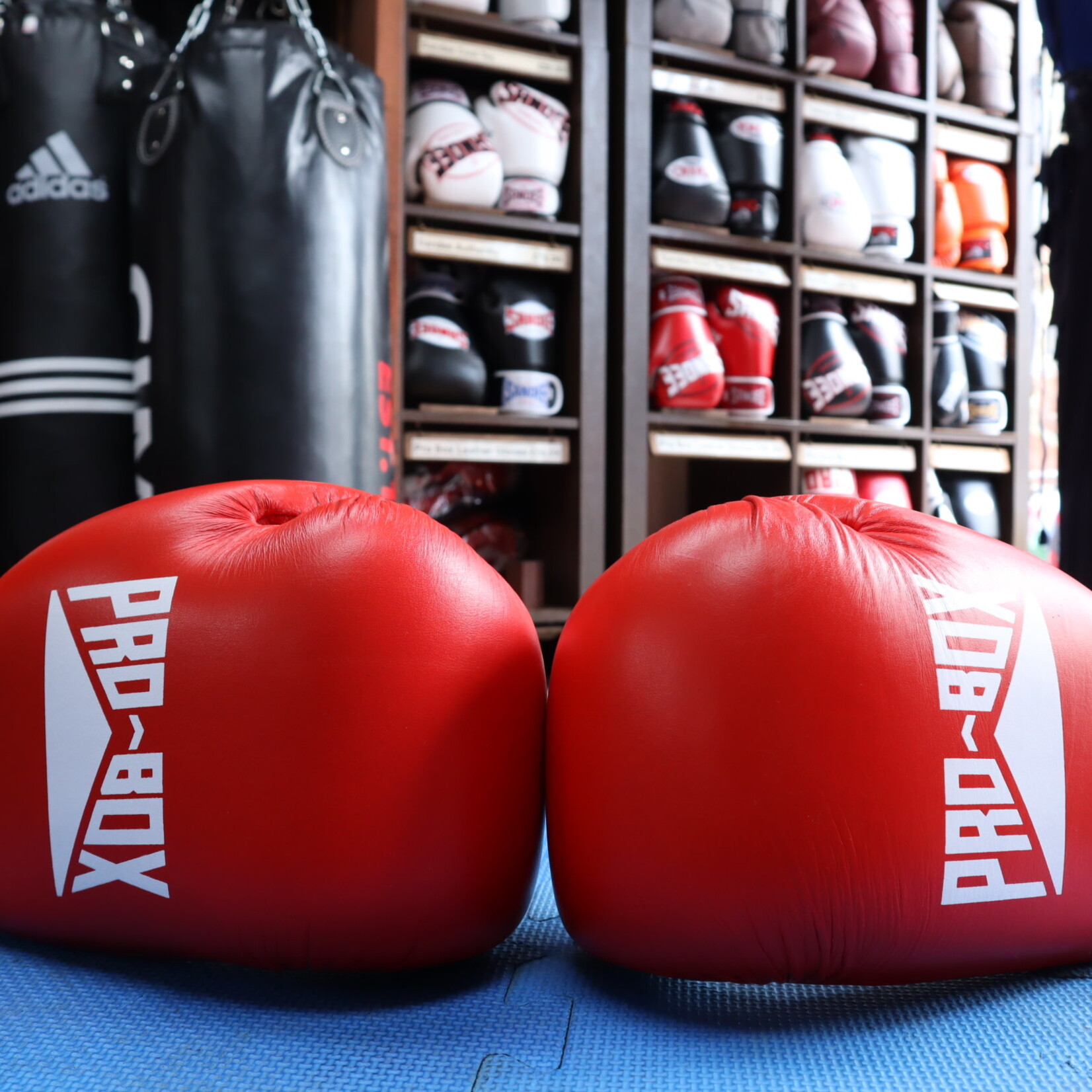 Probox Pro Box Red Leather Boxing Gloves