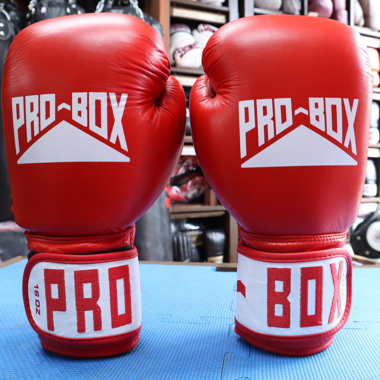 Pro box Red Leather Boxing Gloves for Club Sparring Enso Martial Arts