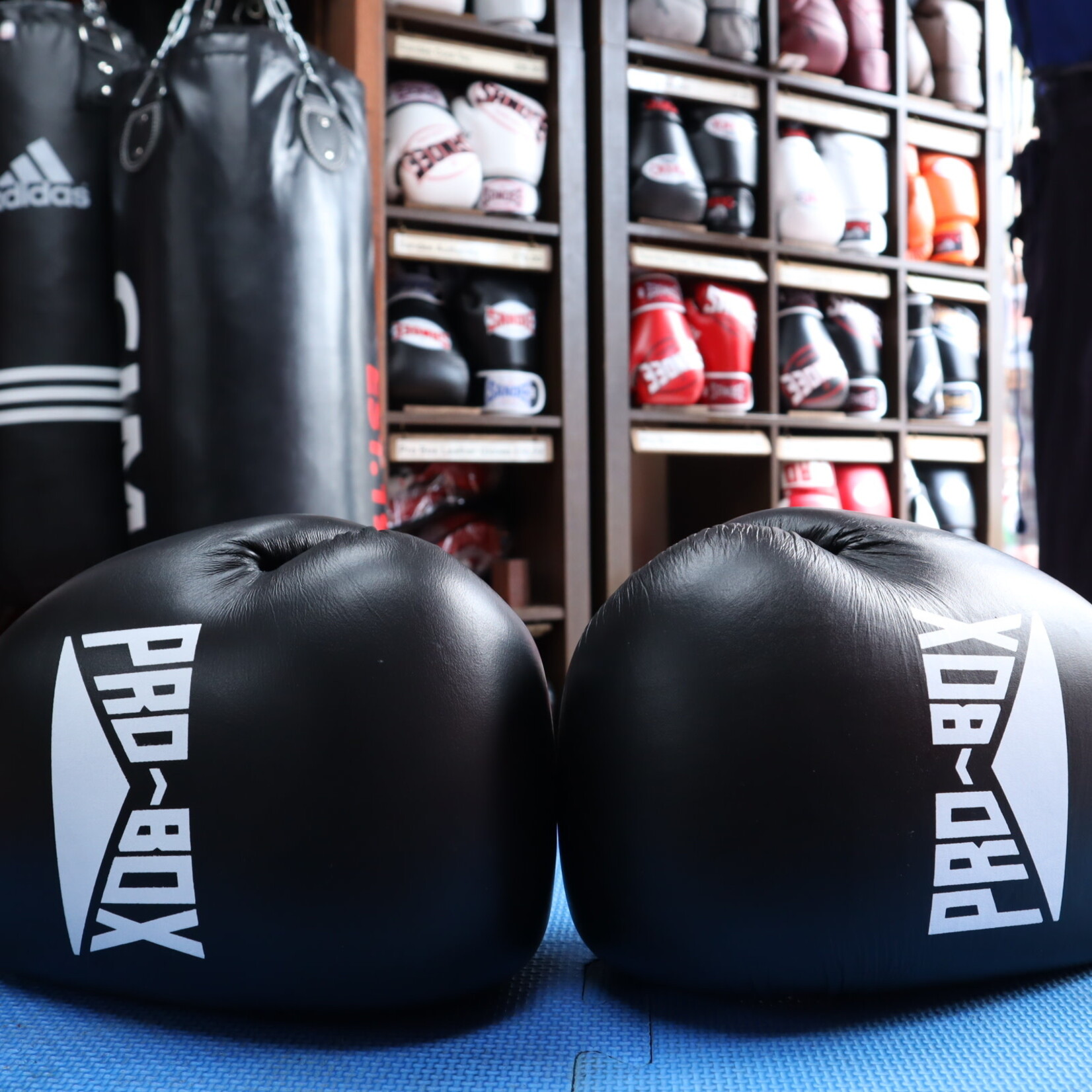 Probox Pro Box Black Leather Boxing Gloves