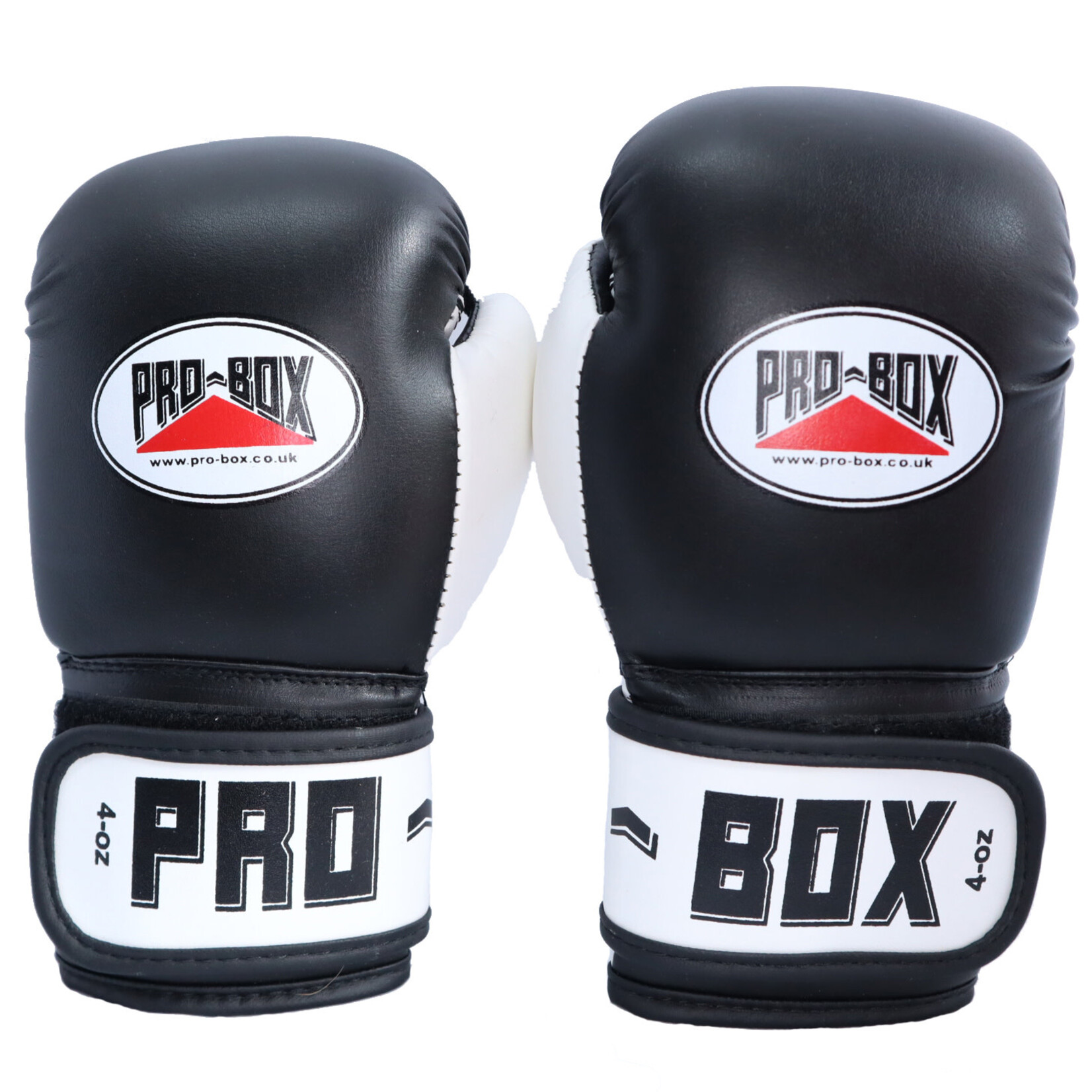 Enso Martial Arts Shop Pro Box Boxing Gloves Kids