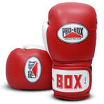 Enso Martial Arts Shop Pro Box Boxing Gloves Kids Red