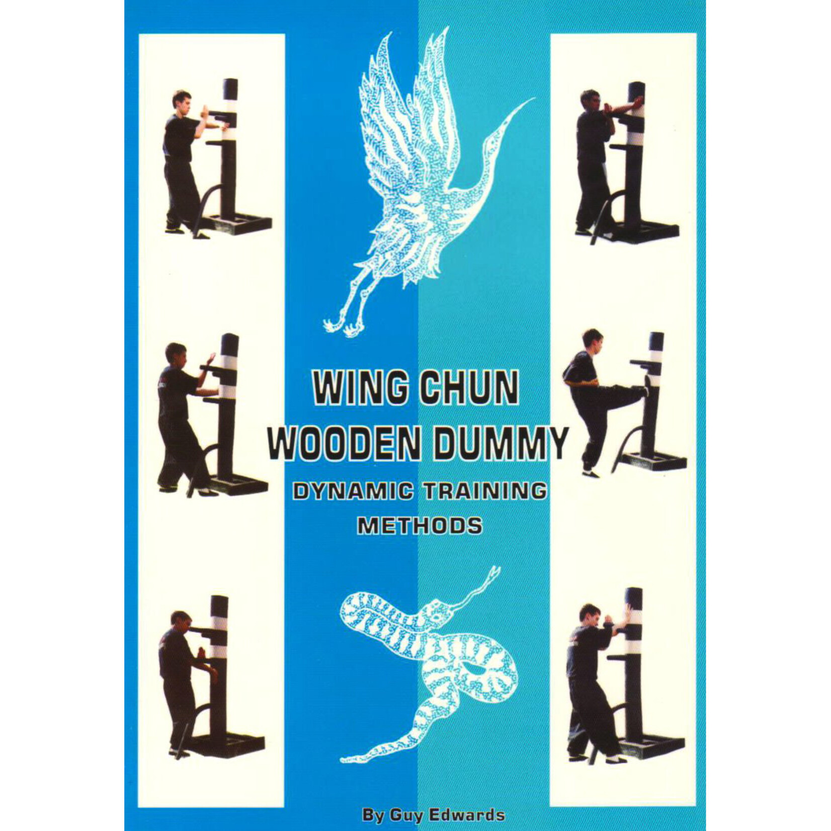 Wing Chun  Wooden Dummy Dymanic Training Methods with Guy Edwards