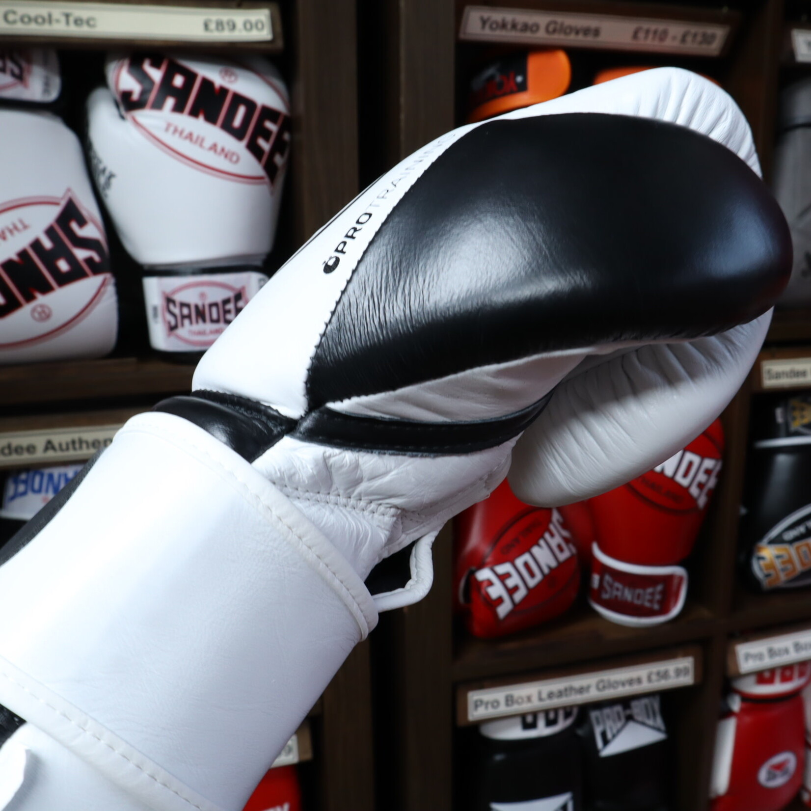 Ringside Ringside Boxing Gloves White G1