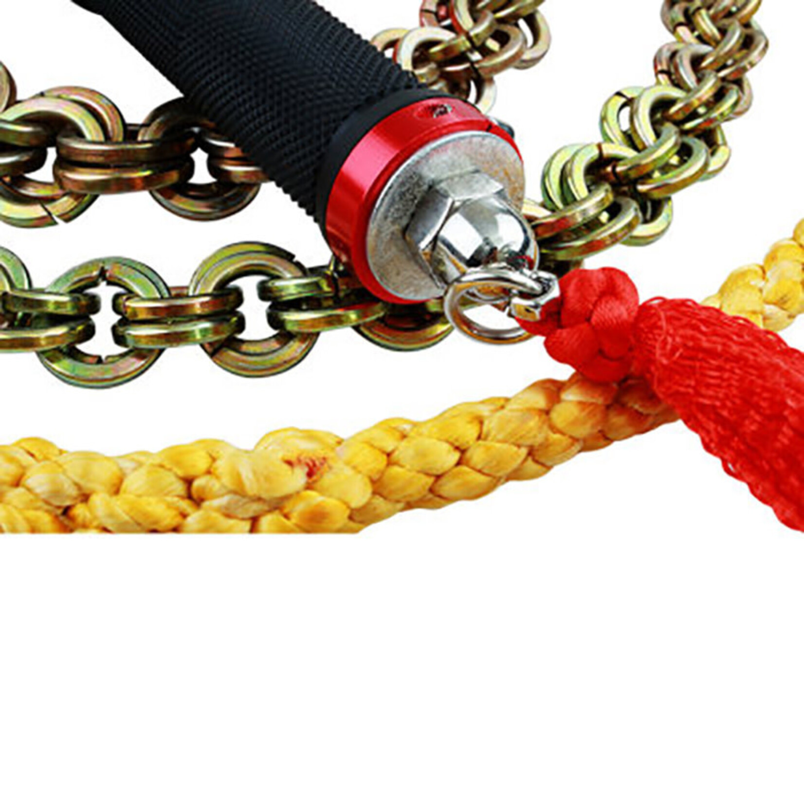 Kung Fu Dragon Whip