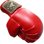 Red Karate Gloves