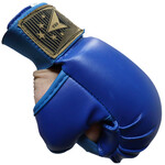 Blue Karate Gloves