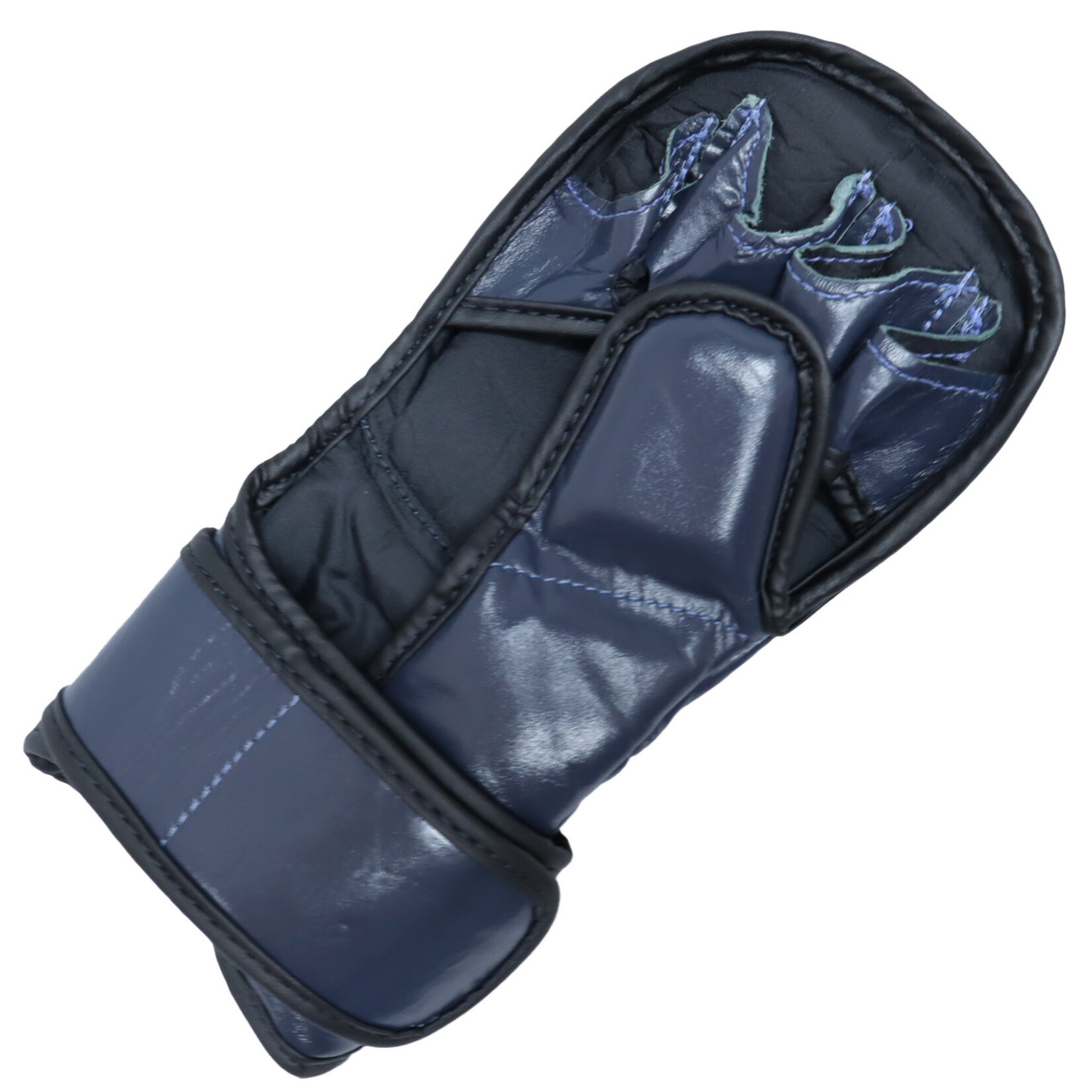 Fairtex Fairtex MMA Sparring Gloves Blue