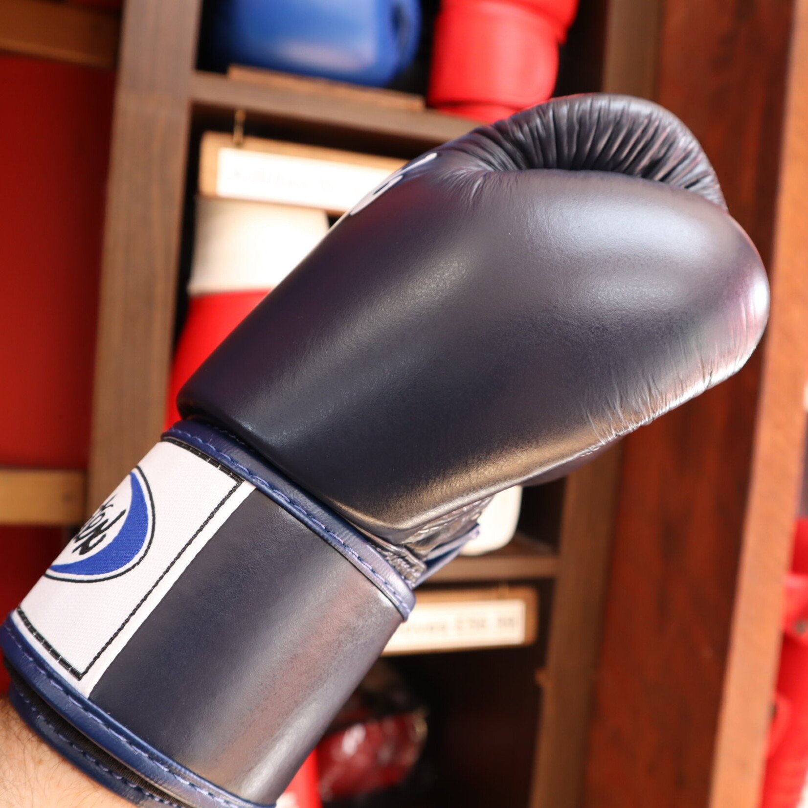 Fairtex Fairtex Boxing Gloves Blue