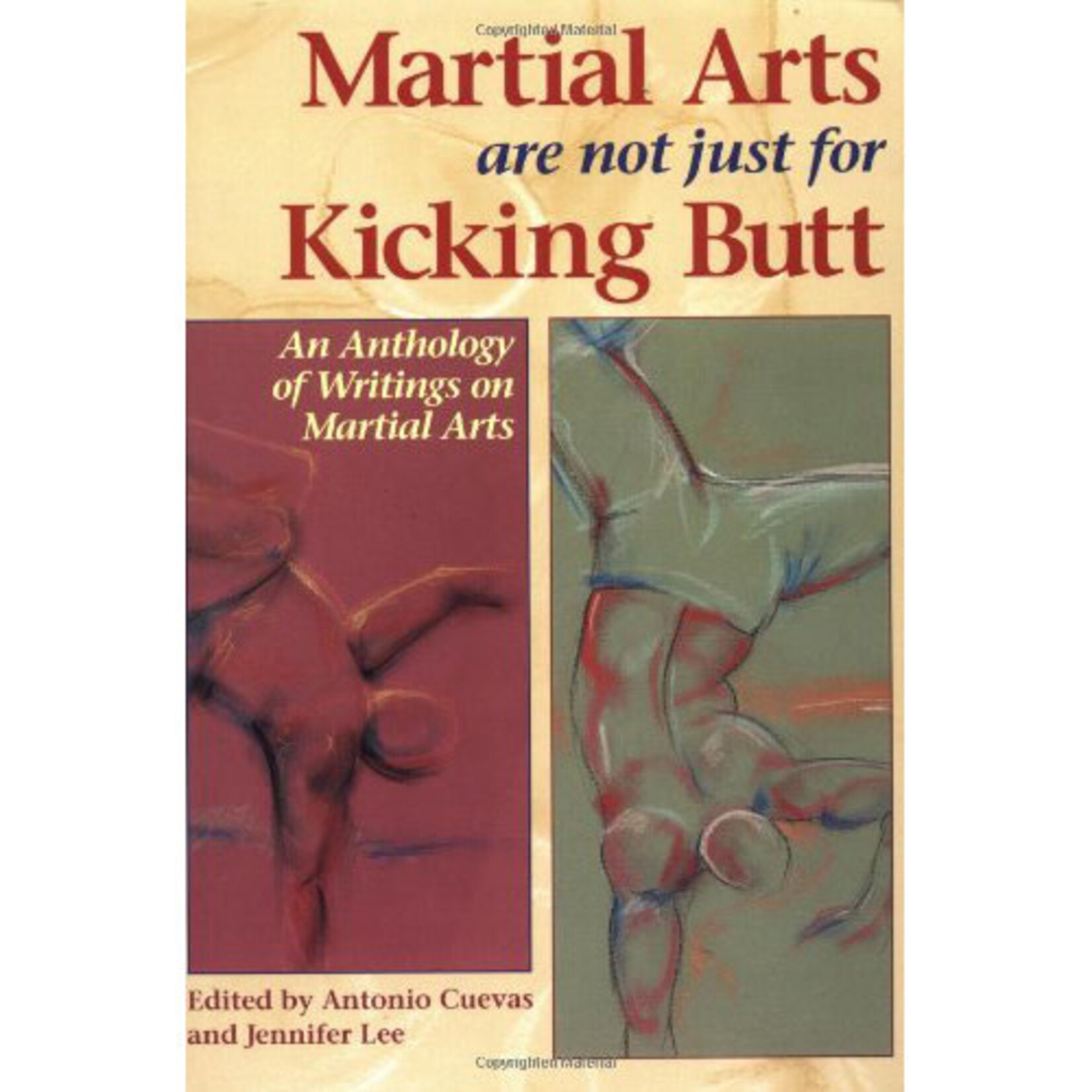 Martial Arts are not just for Kicking Butt: An Anthology of Writing on Martial Arts by George Plimpton