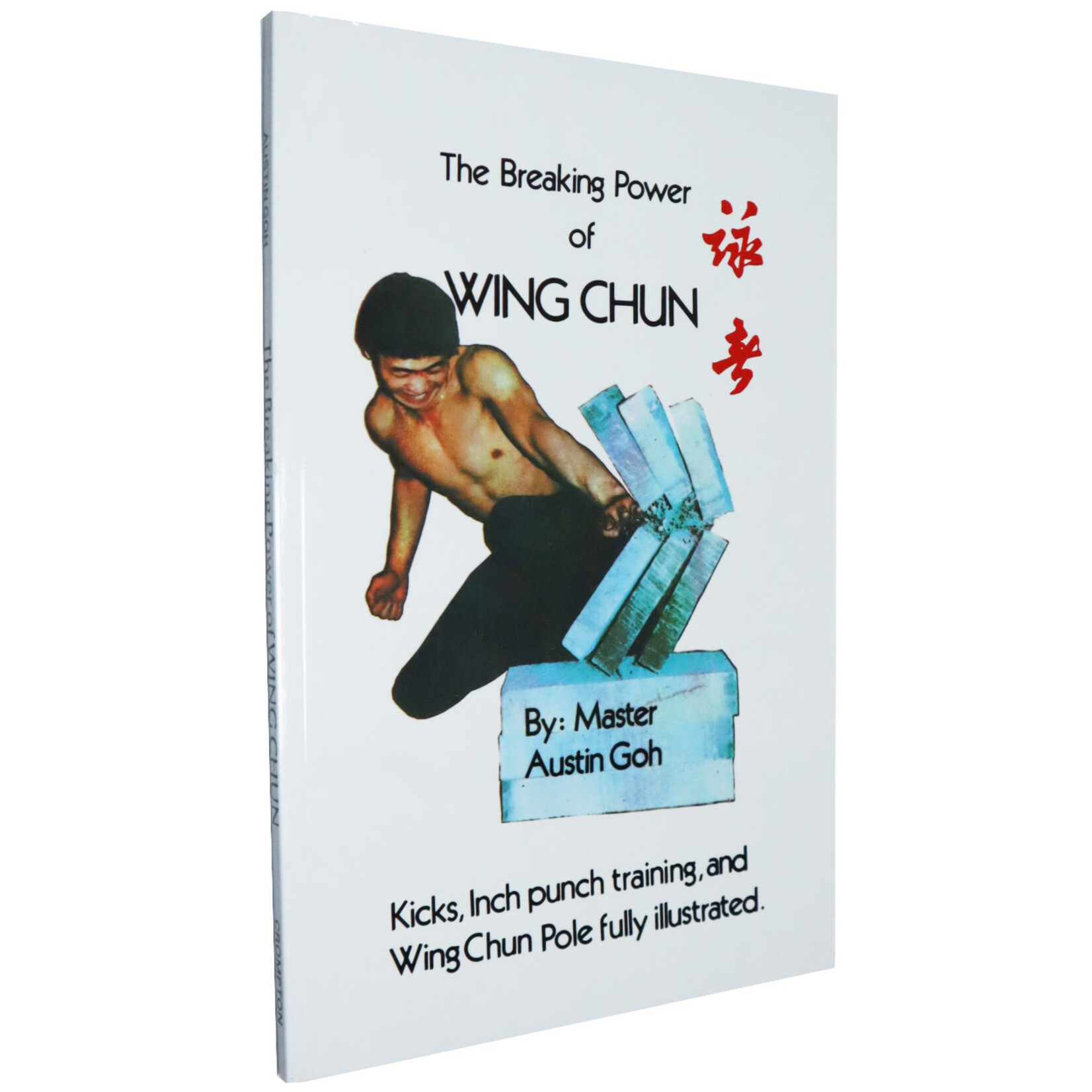 The Breaking Power of Wing Chun by Master Austin Goh