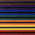 Bytomic Black Stripe Belt