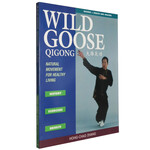 Wild Goose Qigong by Hong-Chao Zhang