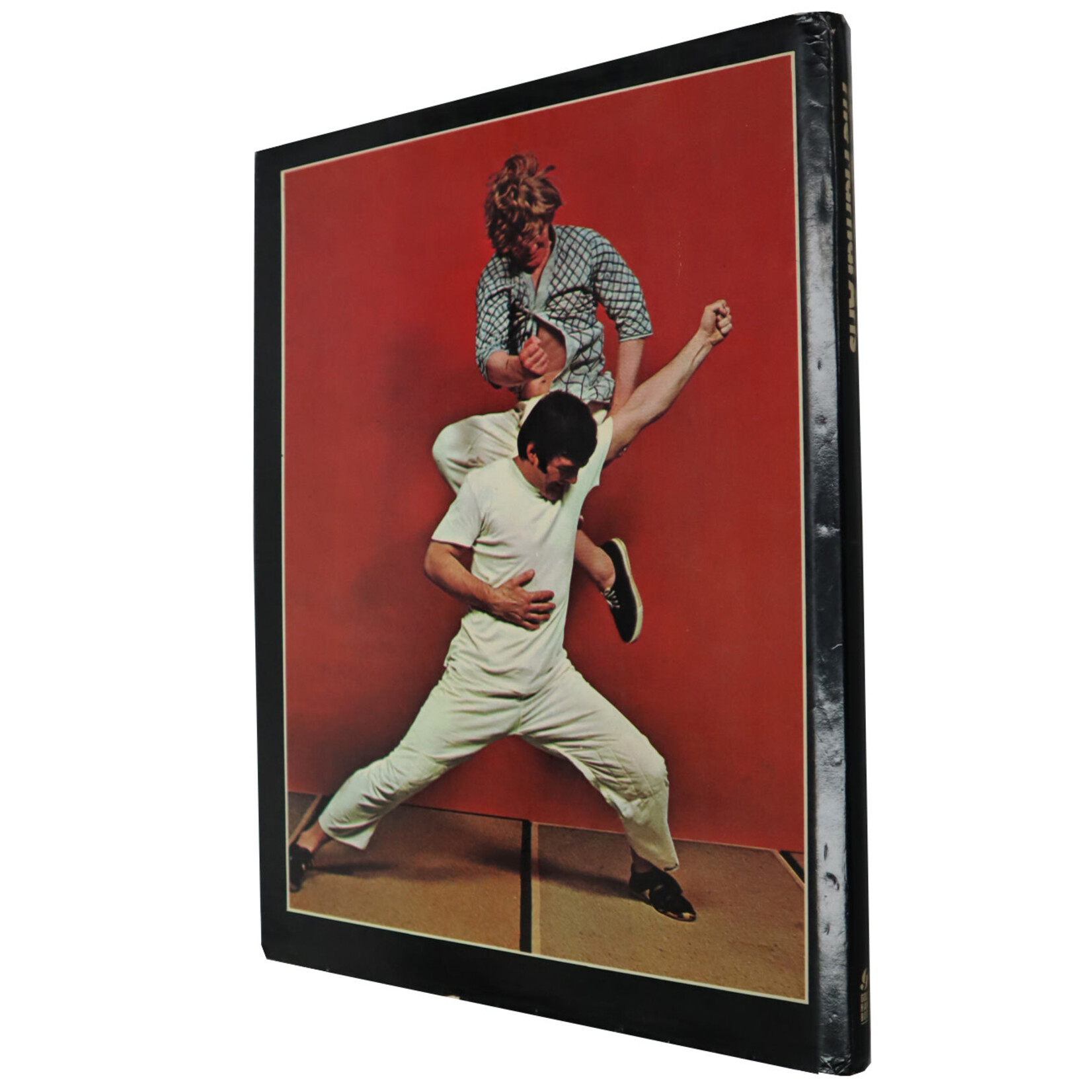 The pictorial guide to The Martial Arts by Jim Wilson
