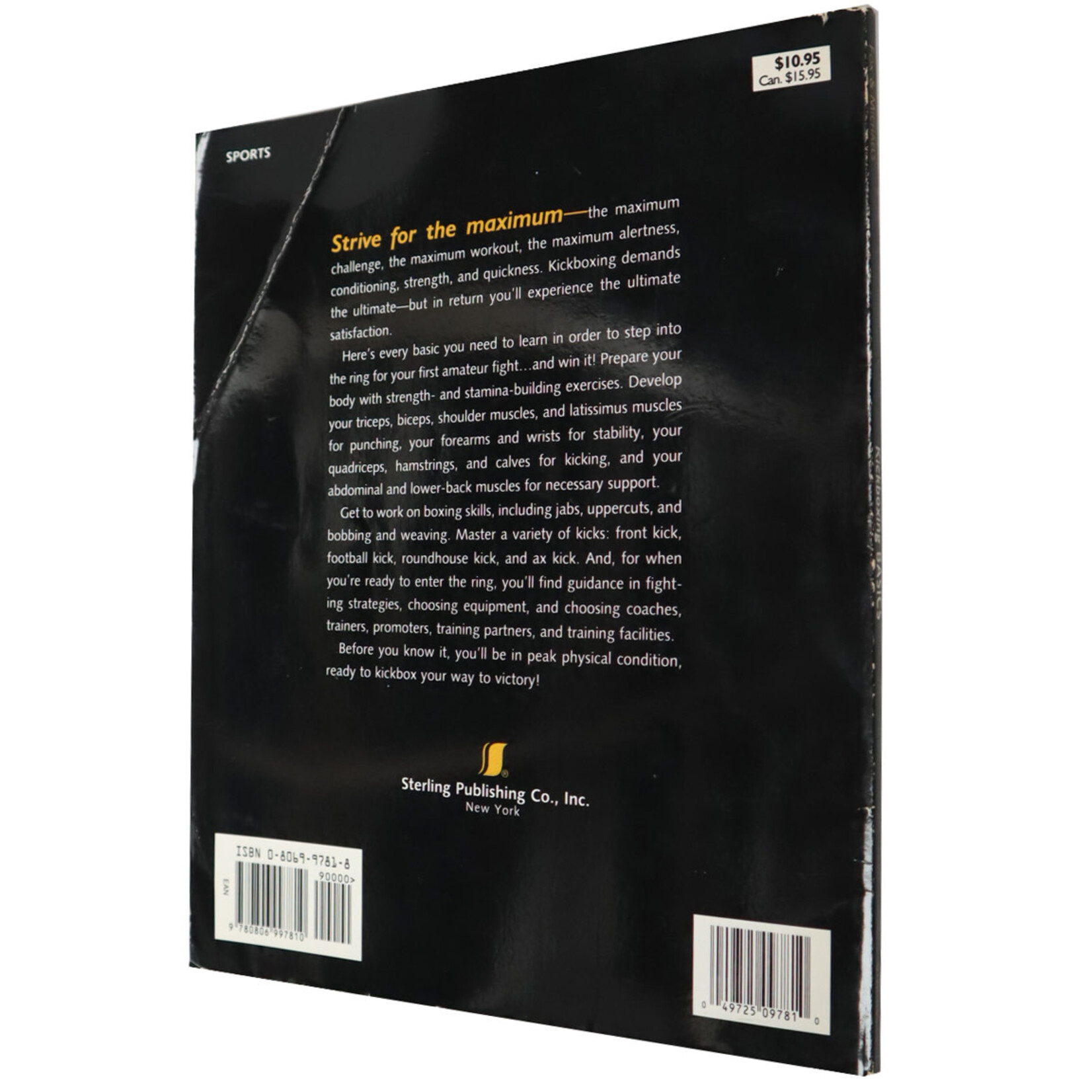 Kickboxing Basics by Master Joe Fox & Art Michaels