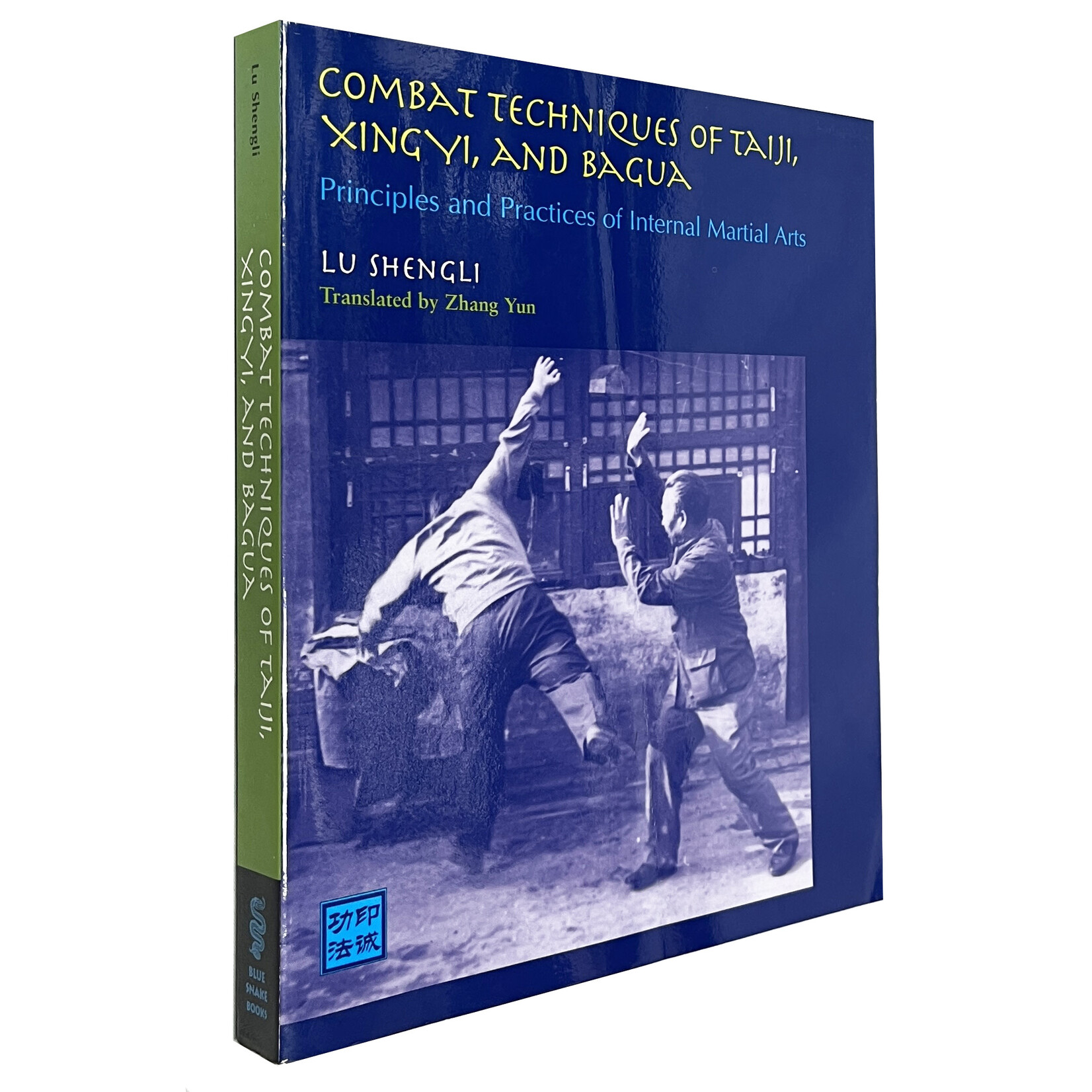 Combat Techniques of Taiji, Xingyi, and Bagua by Lu Shengli