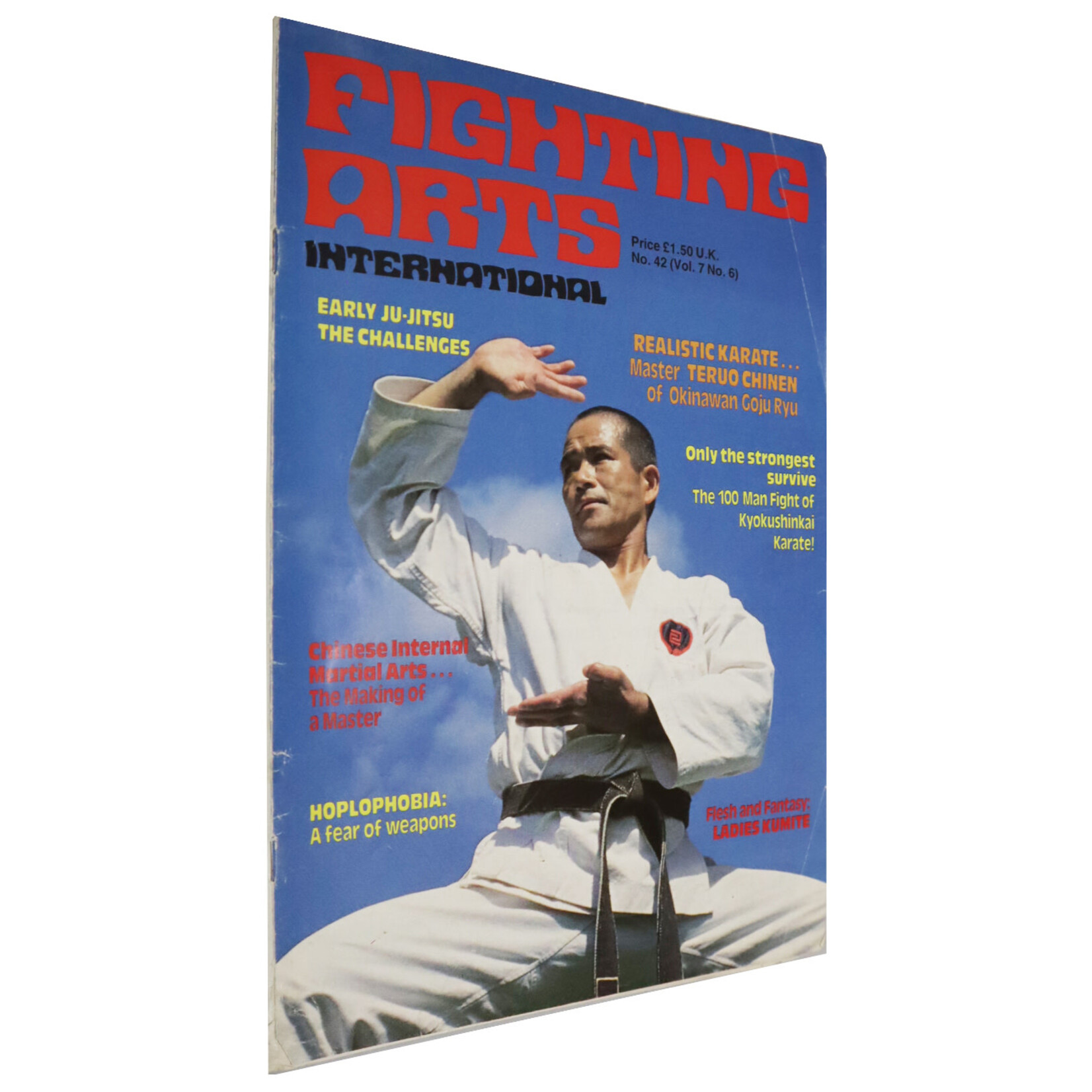 Fighting Arts International Magazine No 42