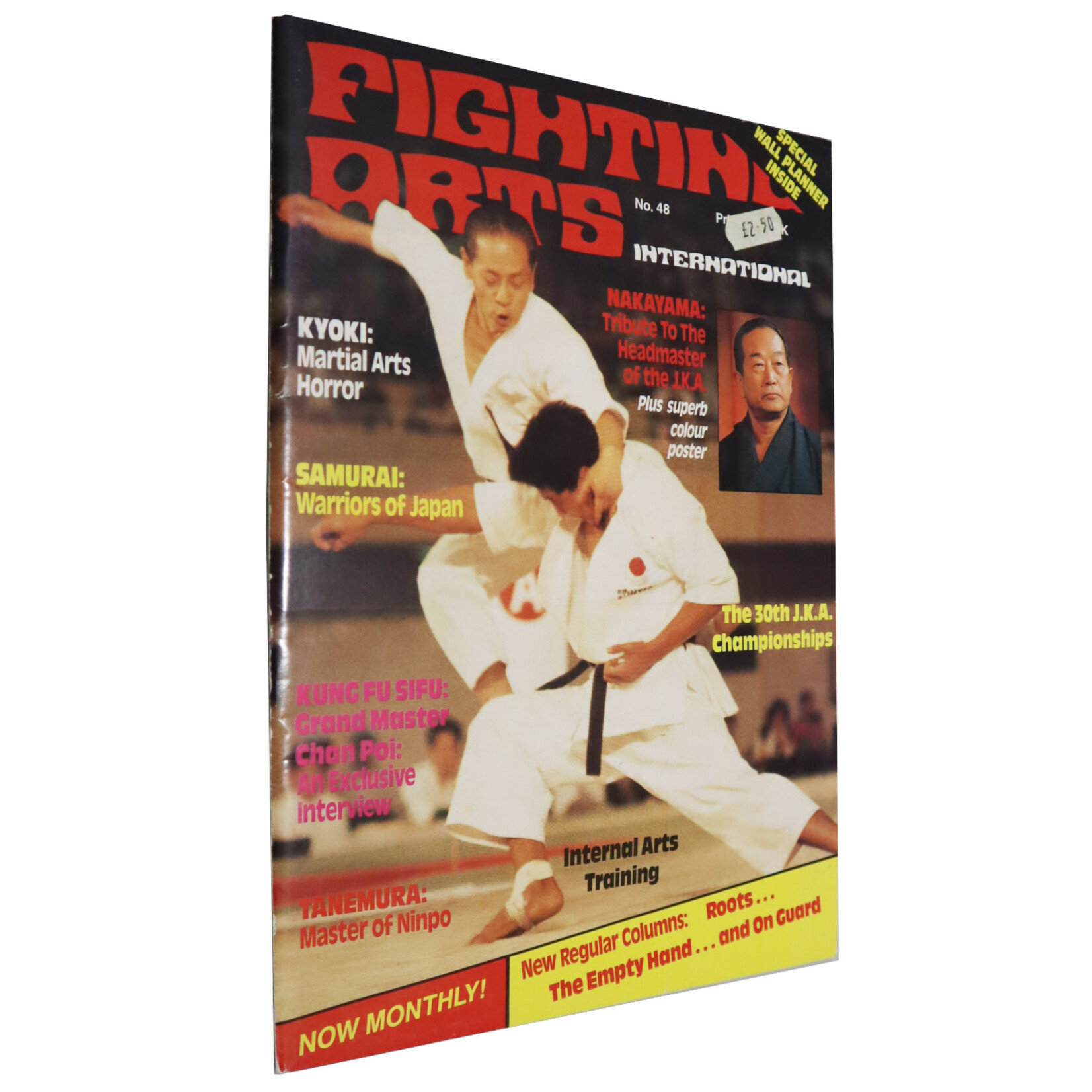 Fighting Arts International Magazine No 48