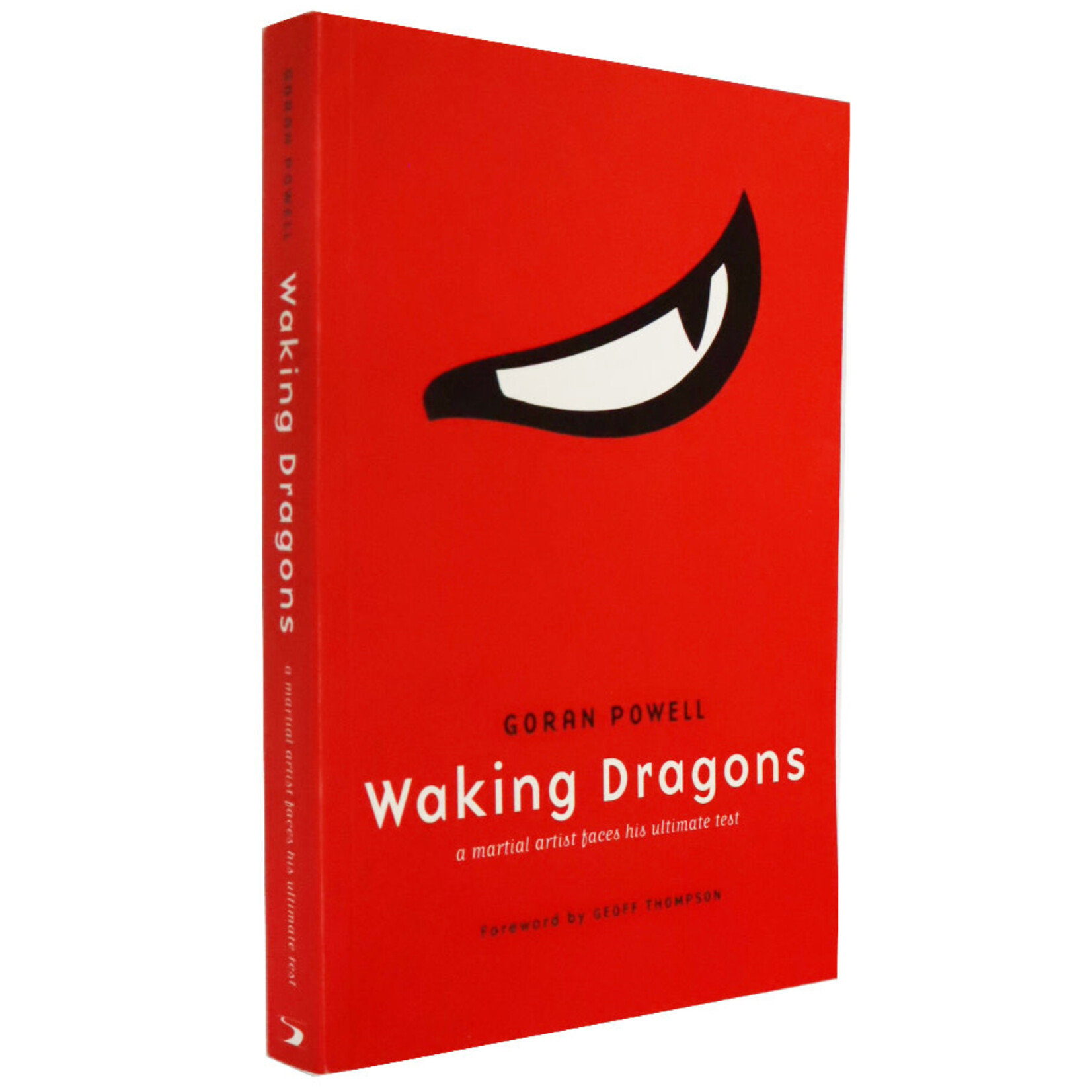 Waking Dragons a martial artist faces his ultimate test by Goran Powell