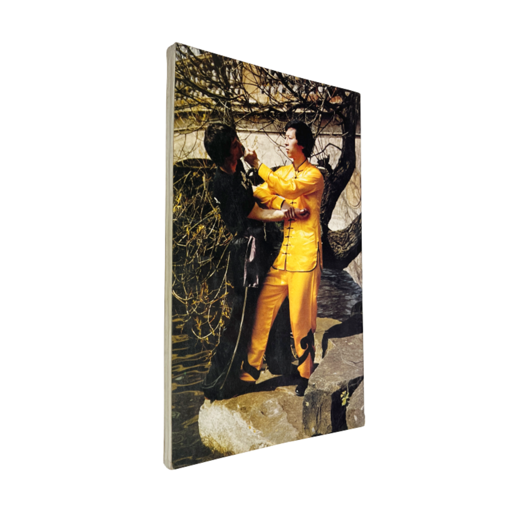 The Path to Wing Chun by Samuel Kwok
