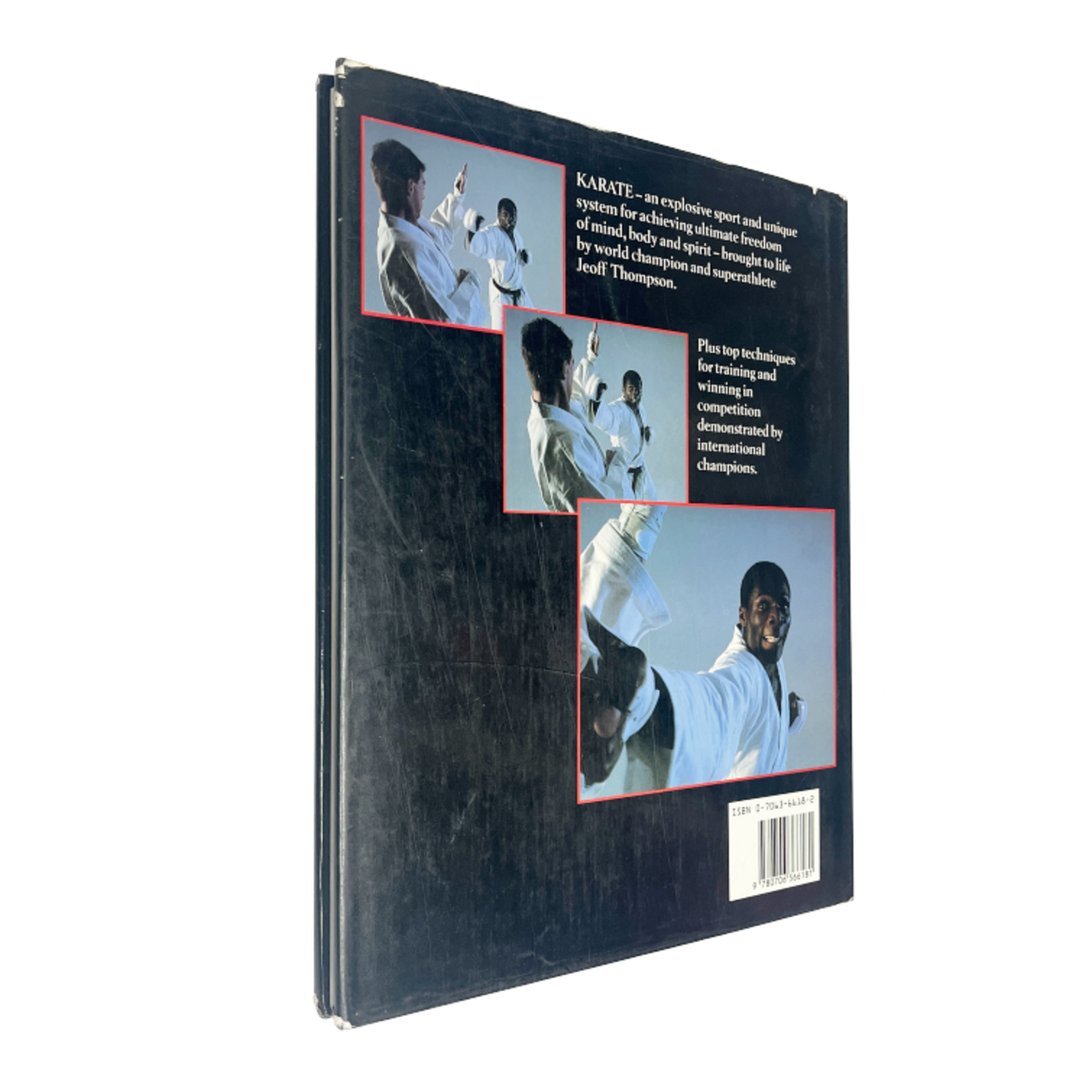 Karate: The Pursuit of Excellence by Jeoff Thompson