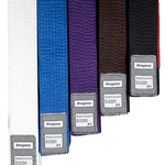 Progress Jiu Jitsu Progress BJJ Belt