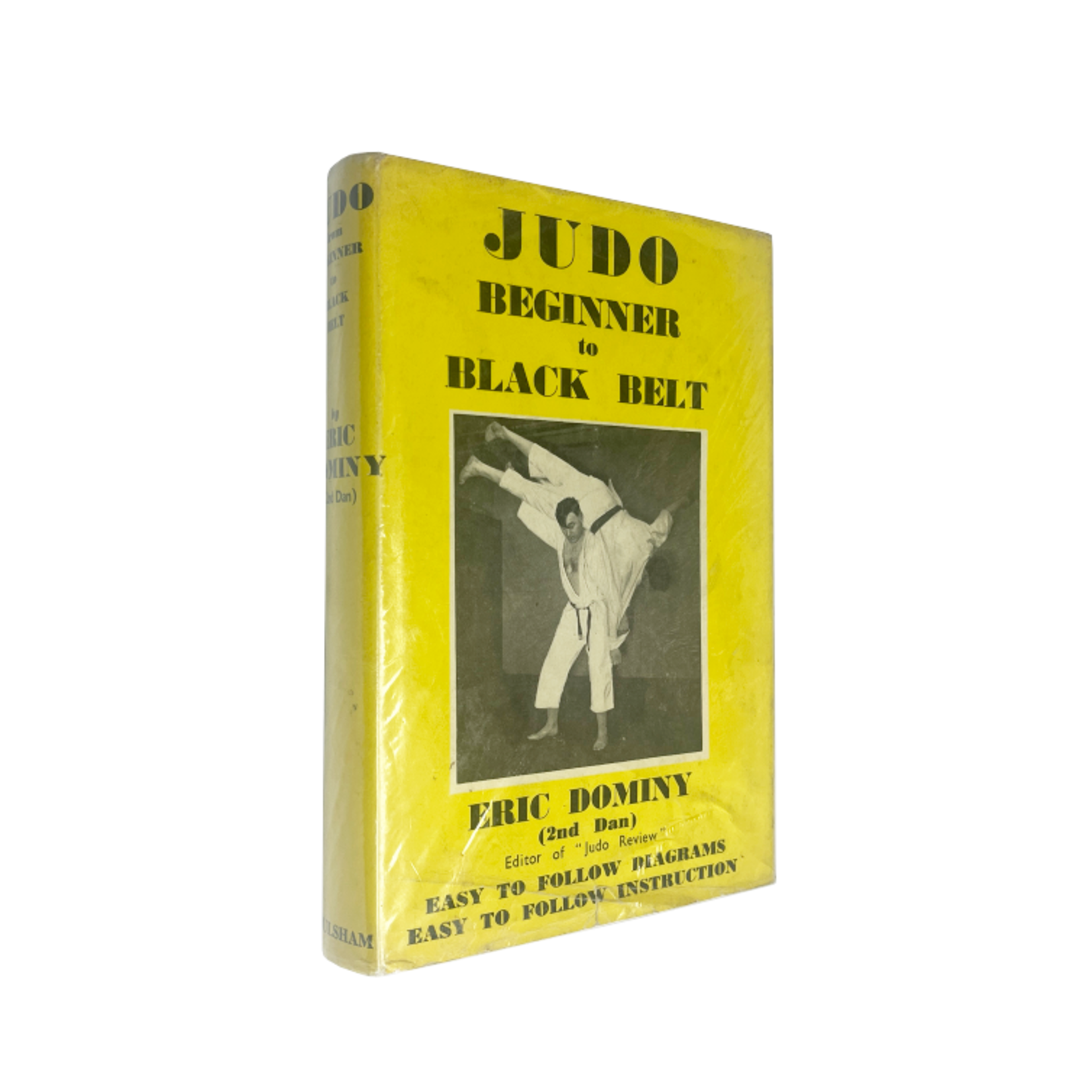 Judo from Beginner to Black Belt by Eric Dominy