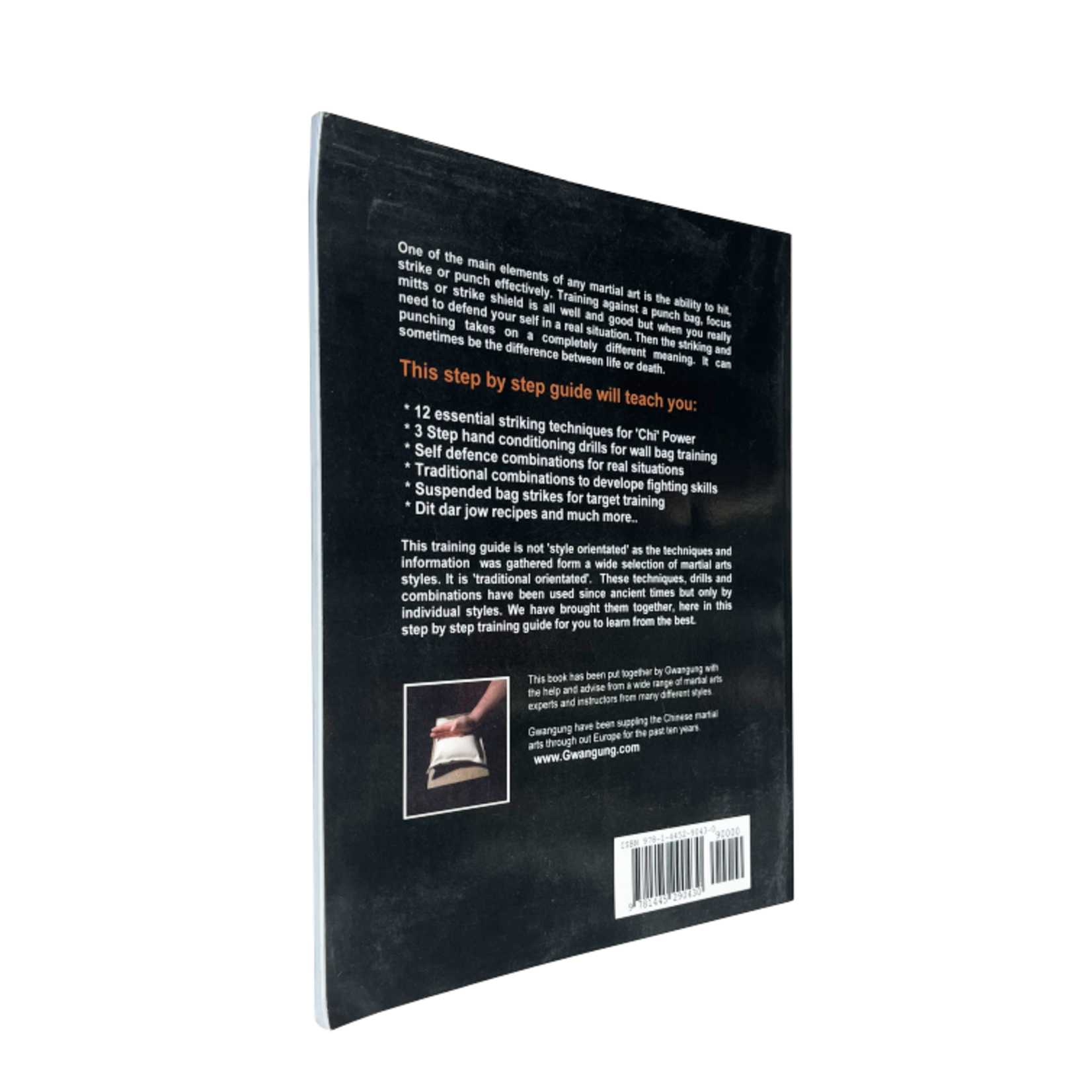 Dynamic Wall Bag Training Guide by Gwangung