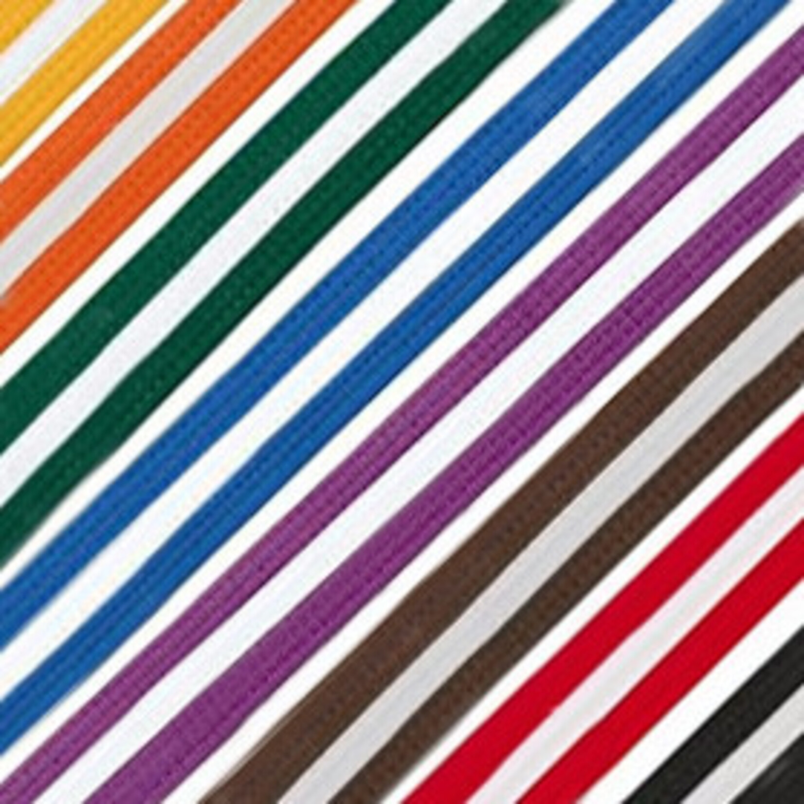 White Stripe Belt