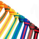 Colour Stripe Belts