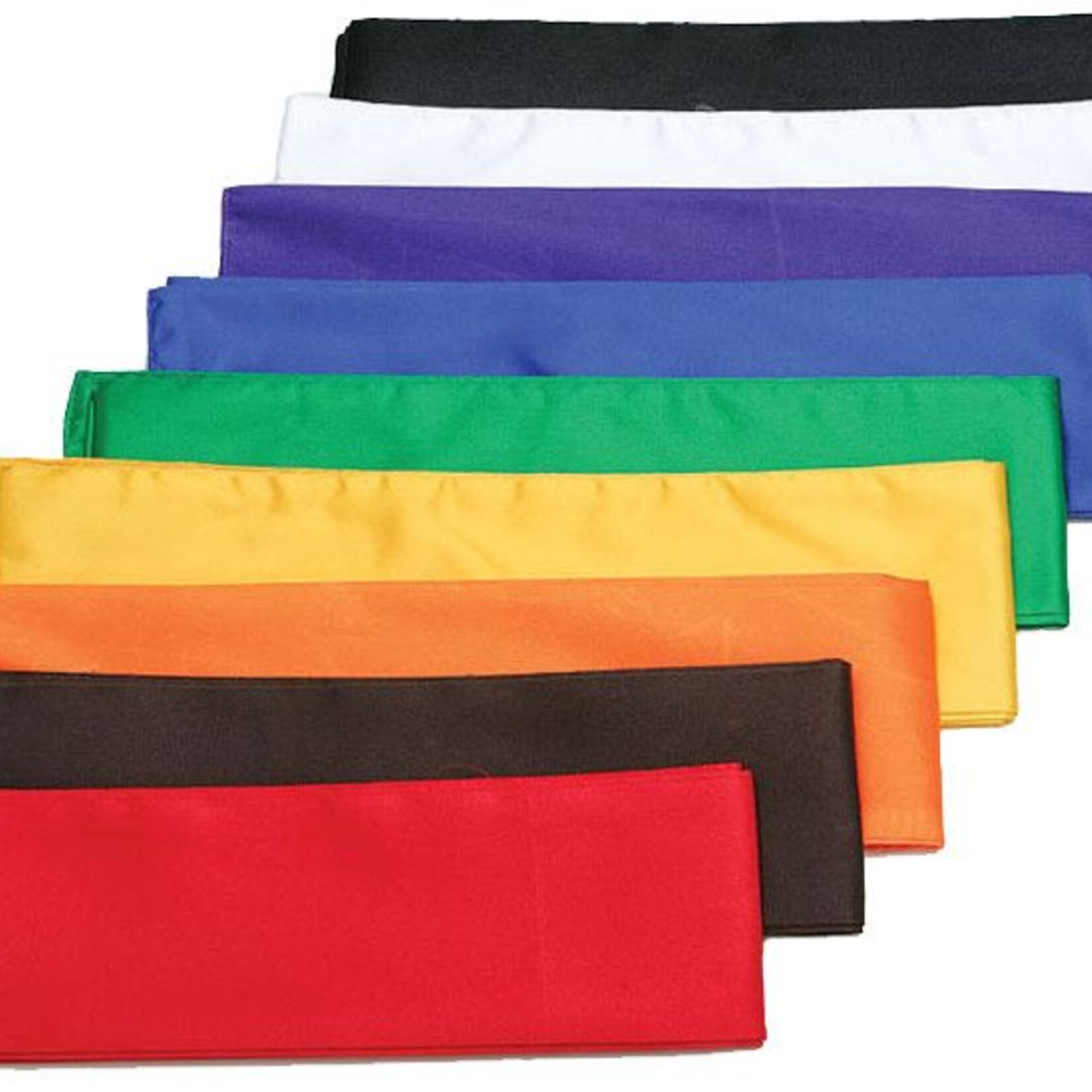 Kung Fu Sash