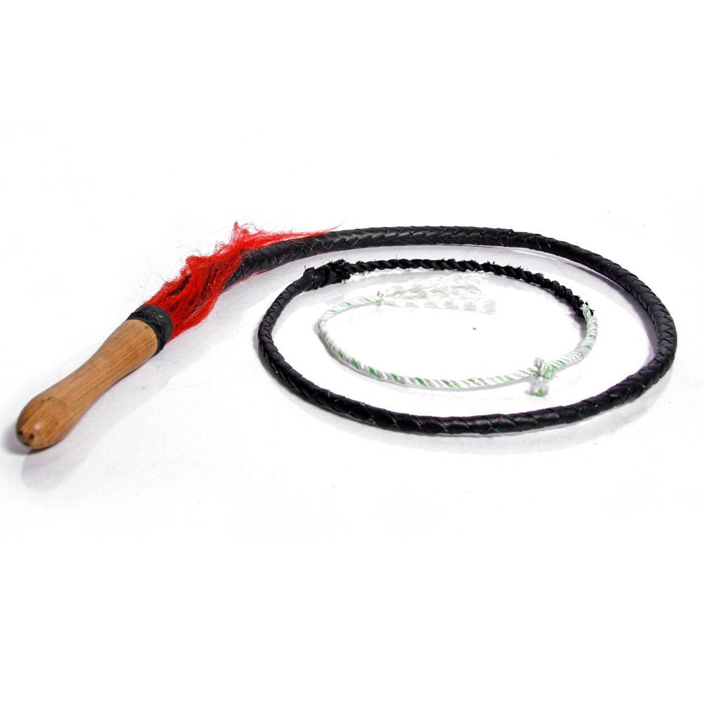 Shaolin Leather Whip for Chinese Kung Fu Styles inc. Shaolin Enso