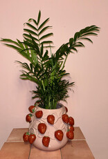 Aardbei pot