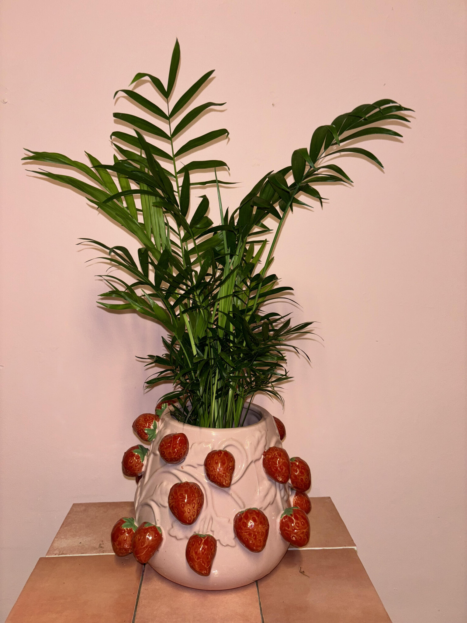 Aardbei pot