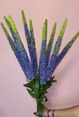Zijden Delphinium