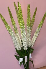 Zijden Delphinium