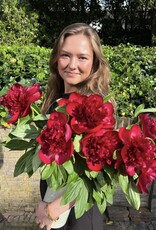 Pioenen! Red Charm