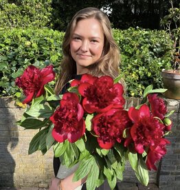 Pioenen! Red Charm
