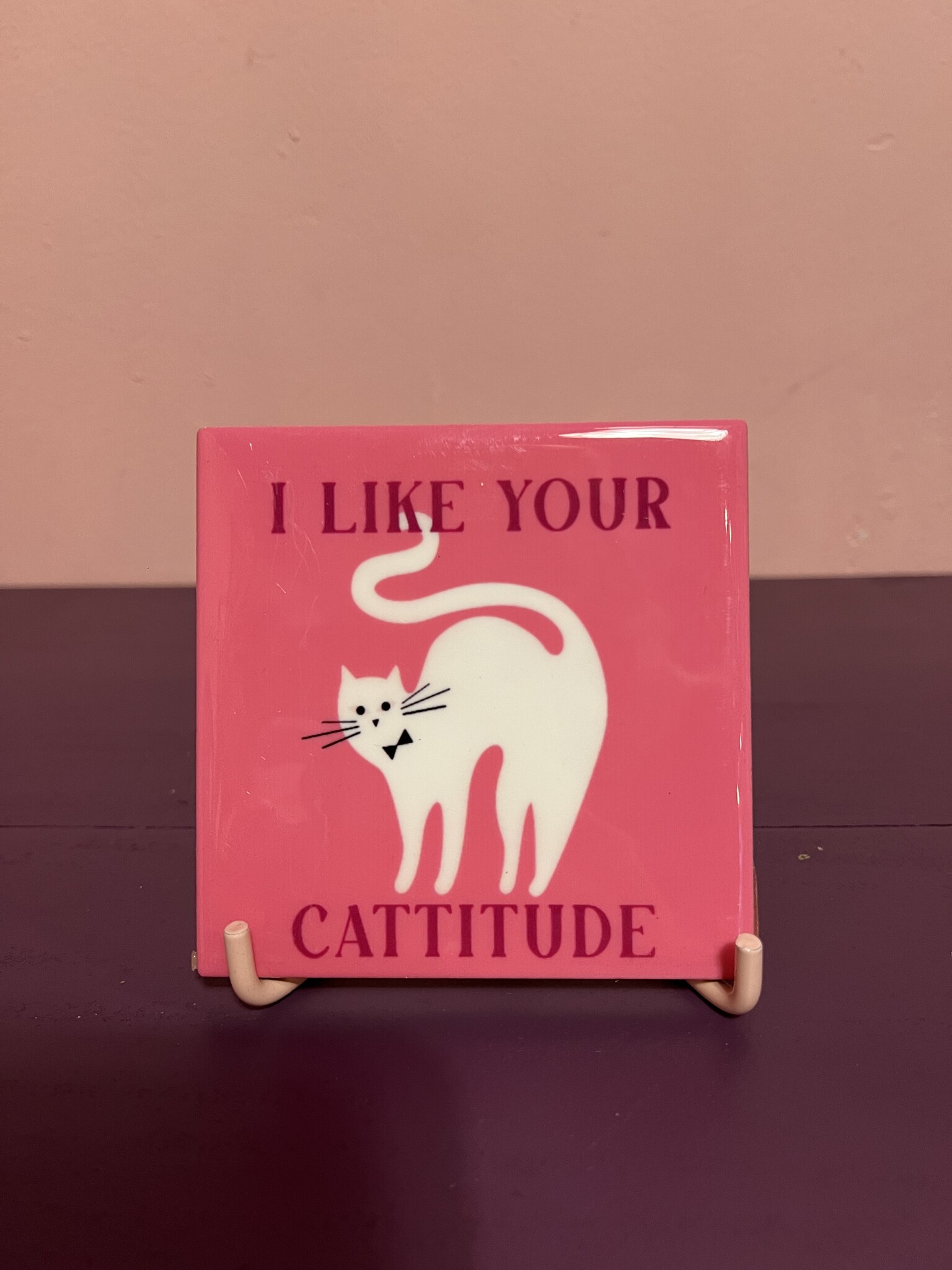 Tegeltje ''I like your cattitude''