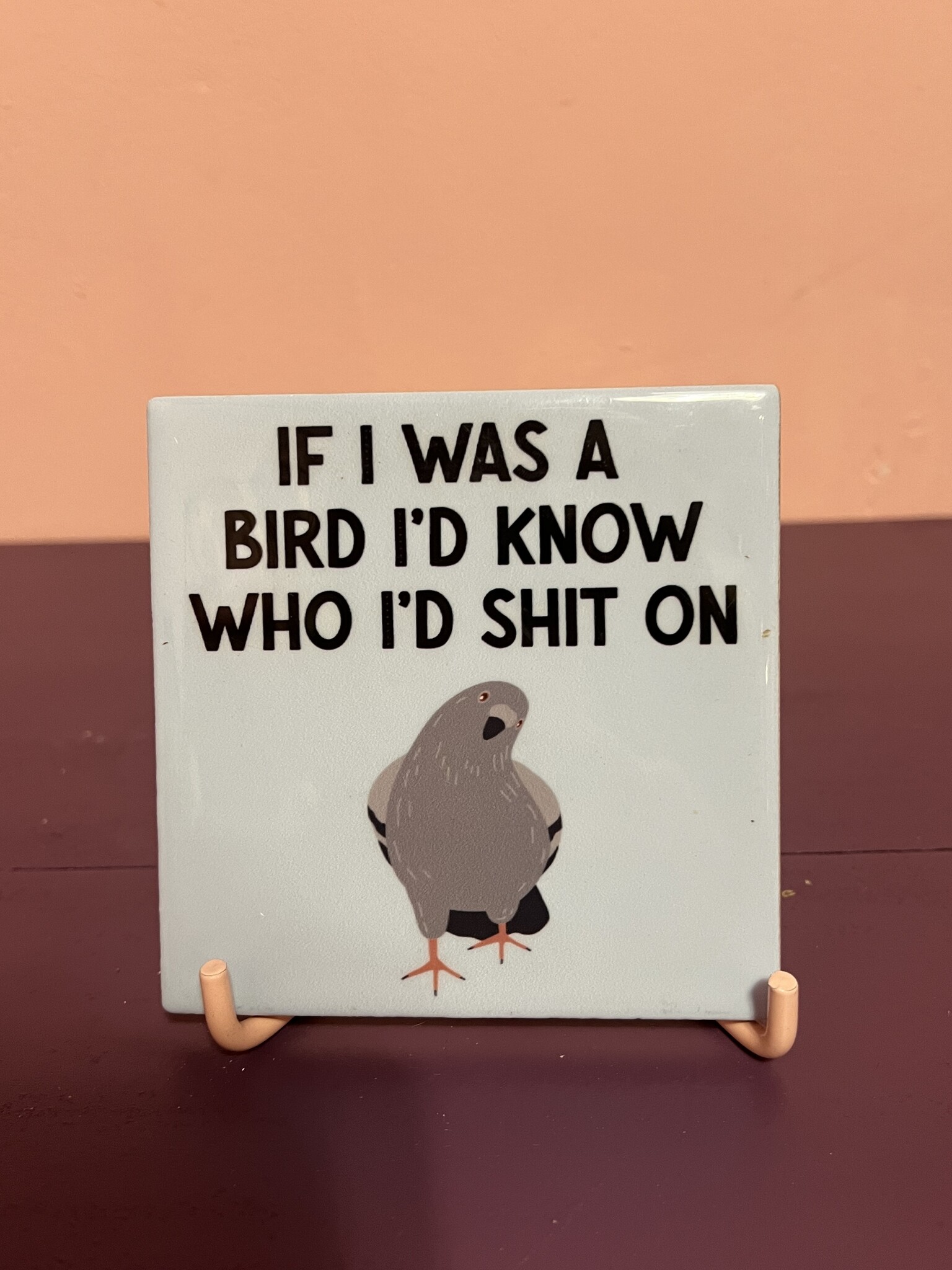 Tegeltje ''If i was a bird''