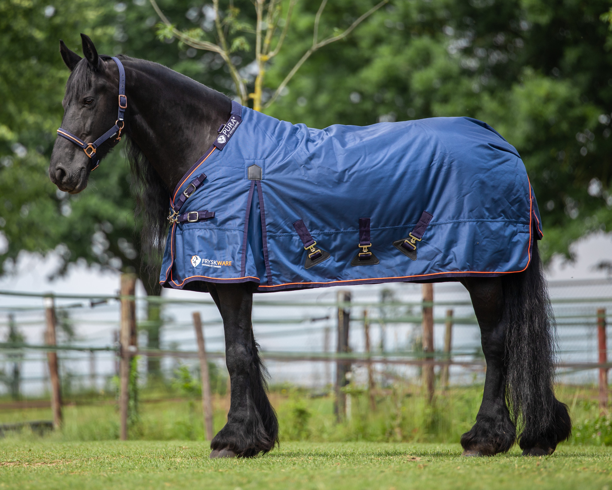 FryskWare PURA Turnout LuBa Paardendekens LUBA HORSE BLANKETS
