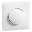 Single Dimmer Switch Button Peha Standard | Alpine White