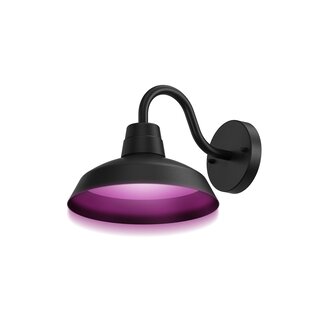 Calex Calex smart Outdoor Classic Wandleuchte RGB CCT 4W 380lm