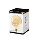 Calex Calex Stars LED Globe Lamp Calex Calex Stars LED Globe Lamp