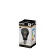 Calex Calex LED Glasfiber A61 Calex Calex LED Glasfiber A61