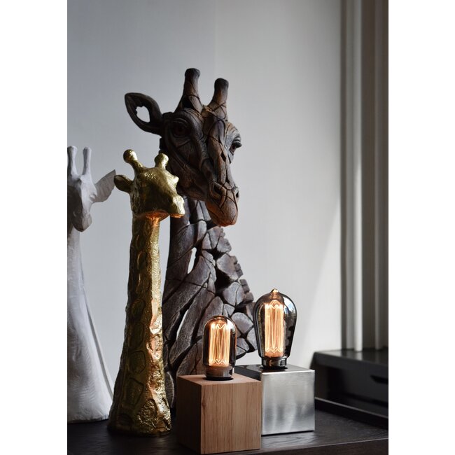 Calex LED Lampe tubulaire en fibre de verre T46