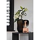Calex Calex Kiruna Gris Gradient LED Colors Calex Calex Kiruna Gris Gradient LED Colors